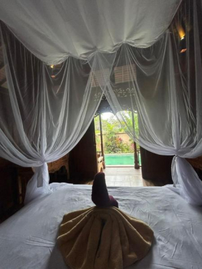 Ubud Rice Fields Private Villa -With Pool